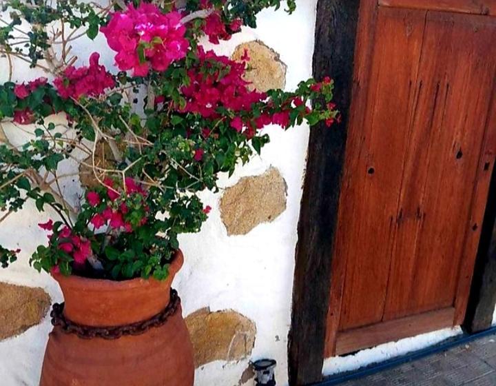 Casa Rural Alessia With Jacuzzi ,Garden & Swimming Pool Santa Cruz de Tenerife Exterior photo
